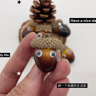 拍照道具模型摄影进口2025年模玩松果干果果实拍摄橡果橡子