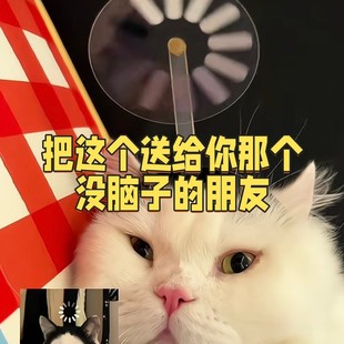 大脑加载在网络是一个比特卡机发箍发带发卡可旋转网卡滑稽发卡