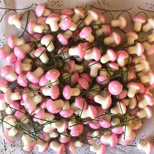 多肉生日蛋糕头饰蛋糕现货手工材料小蘑菇仿真装饰品塑料材料铁线