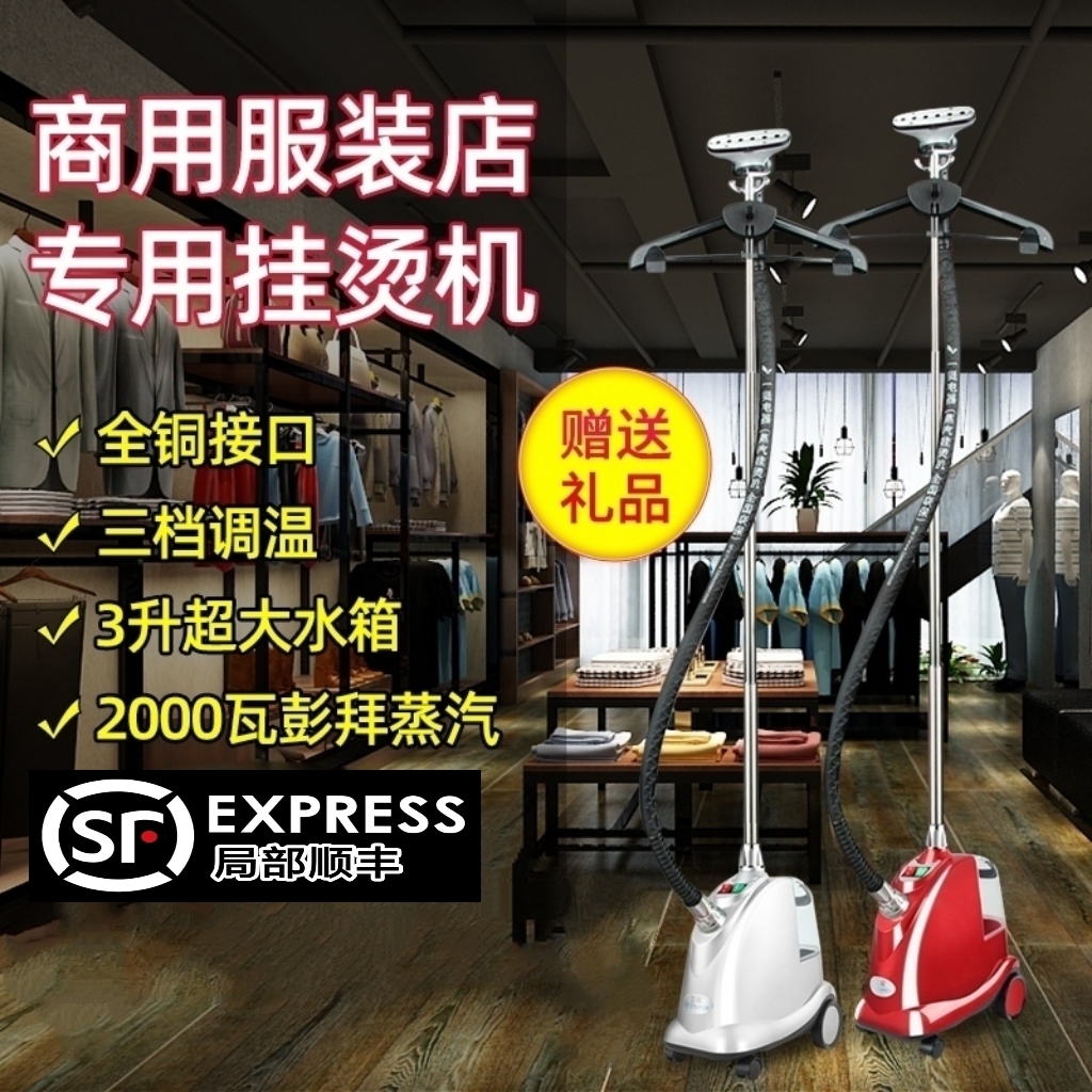 立挺一挺挂烫机LT9大功率全铜接