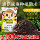 营养土通用型100斤种菜养花土壤有机土家用种菜思威博盆栽种植土