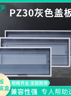 灰色PZ30配电箱盖板塑料面板6/8/10/12/15/18/20/24回路防护翻盖