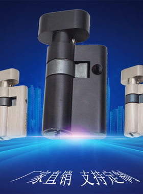 室内无框门锁芯玻璃门执手锁锁芯玻璃夹锁胆全铜大51mm偏心锁芯