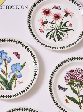 Portmeirion波特美林英国进口陶瓷盘子菜盘家用餐盘浅盘平盘高级