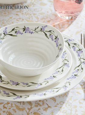 Portmeirion英国波特美林进口盘子家用菜盘西餐盘欧式碗碟高级感