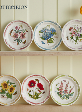 Portmeirion波特美林英国进口家用餐盘陶瓷盘子菜盘圆盘彩色盘子