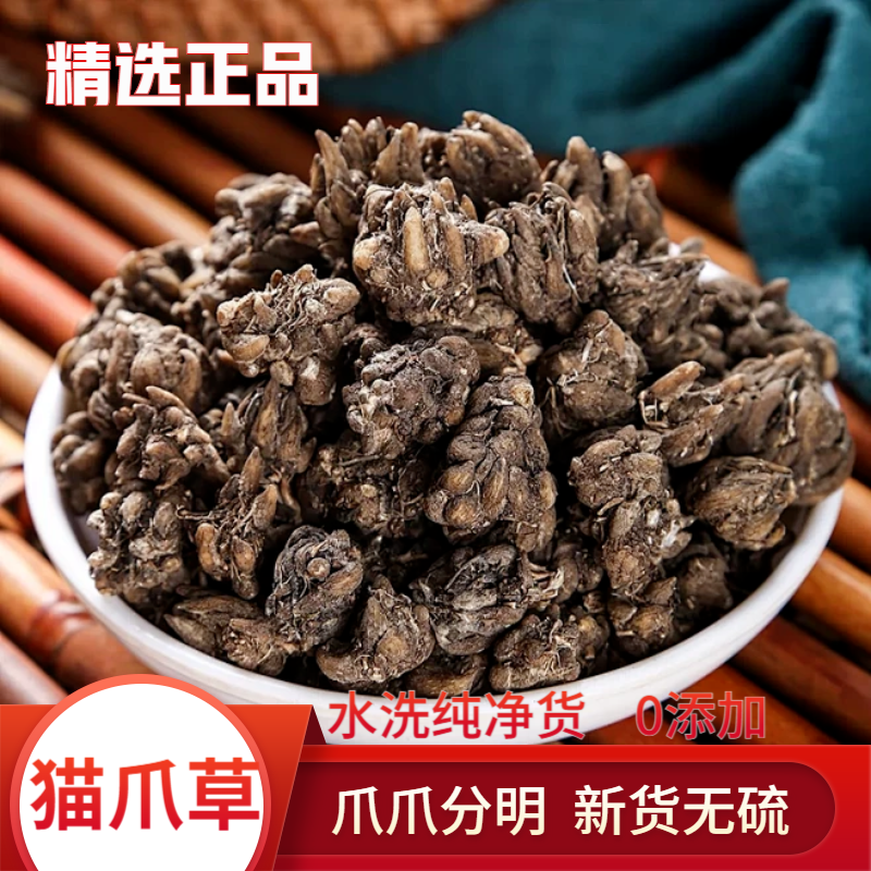 正品生态新货猫爪草水洗新鲜正宗野生猫抓草新货无硫猫爪草
