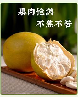 散装黄金果大果破果  广西桂林低温脱水罗汉果  脱水罗汉果特惠价