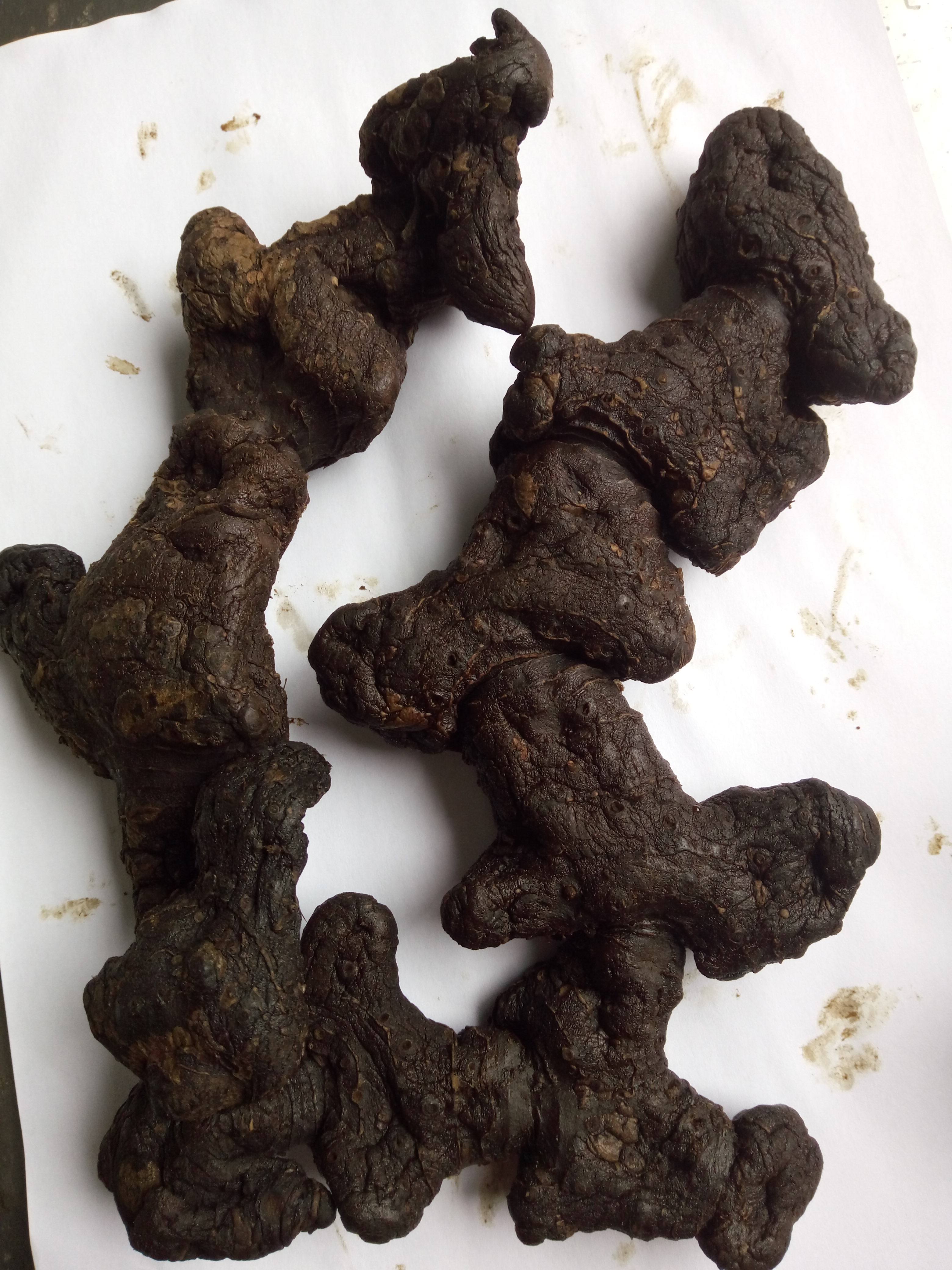 九蒸九晒黄精质肉头野生生黄精茶黄精中药材九制黄精泡酒即食黄精