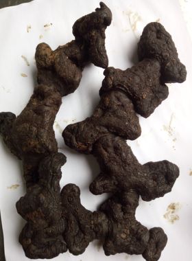九蒸九晒黄精质肉头野生生黄精茶黄精中药材九制黄精泡酒即食黄精