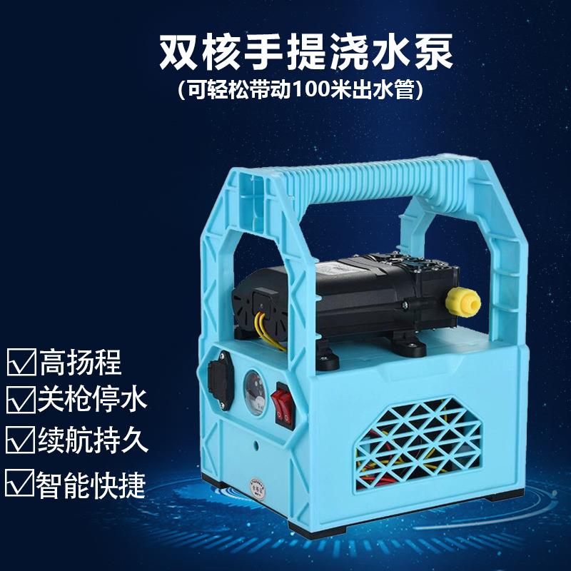 12V双核水泵高压果园打药机抽水洗车机手提式电动喷雾器 农用