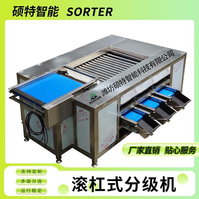 贡柑大小分选选果机 自动滚杠式分拣机 瓜果滚筒圆径冬枣筛选机,清洗/食品/商业设备,肉制品加工设备,淘宝优惠券,粉丝福利购,淘宝优惠卷