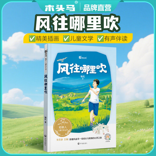 木头马稻草人儿童文学丛书新版