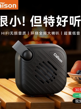 CLAISON/柯莱逊 户外蓝牙音响无音箱线重低音炮迷你便携车载小型