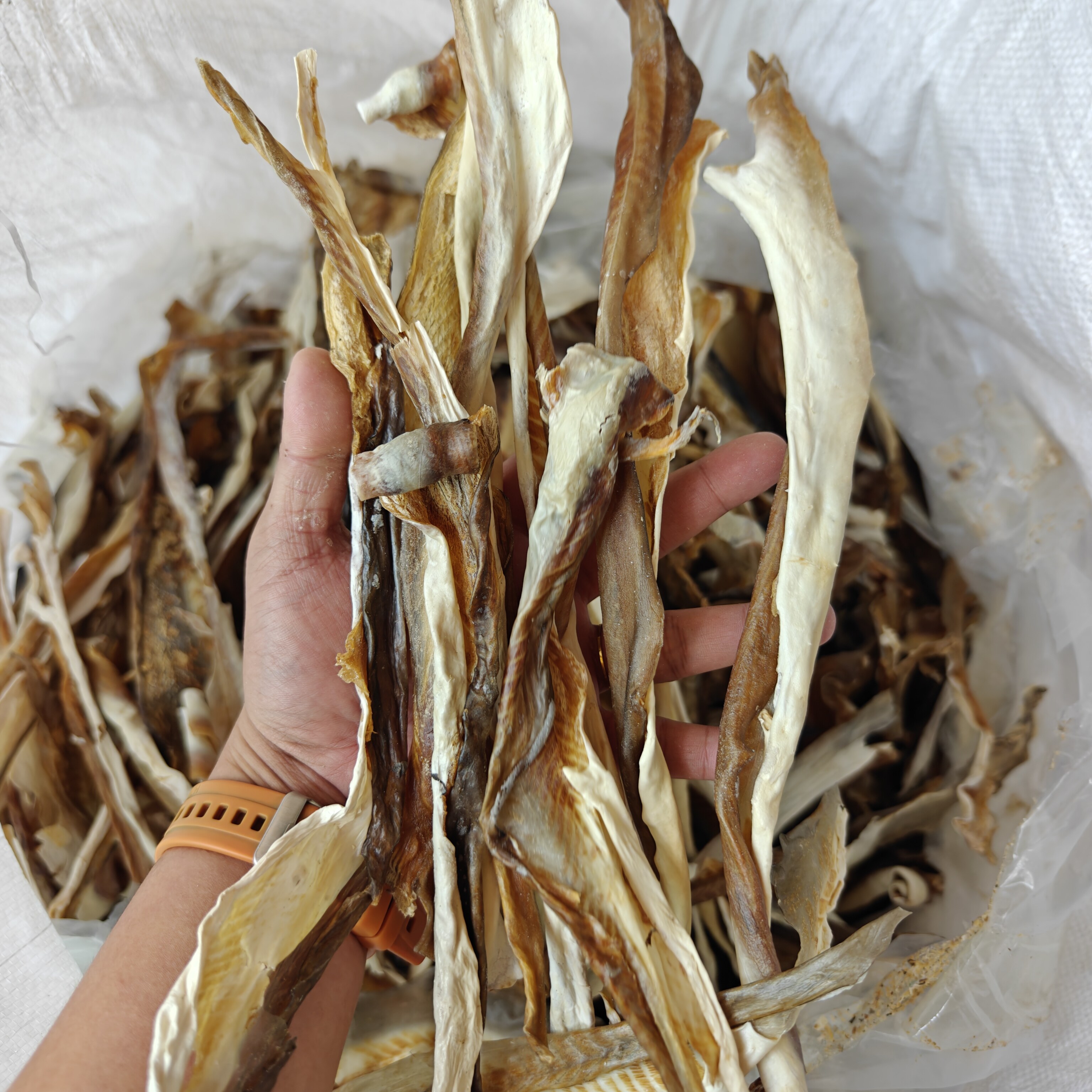 青沙鱼皮九成干鱼皮深渔海鱼皮条干货鱼皮大沙鱼皮已去沙海味干货