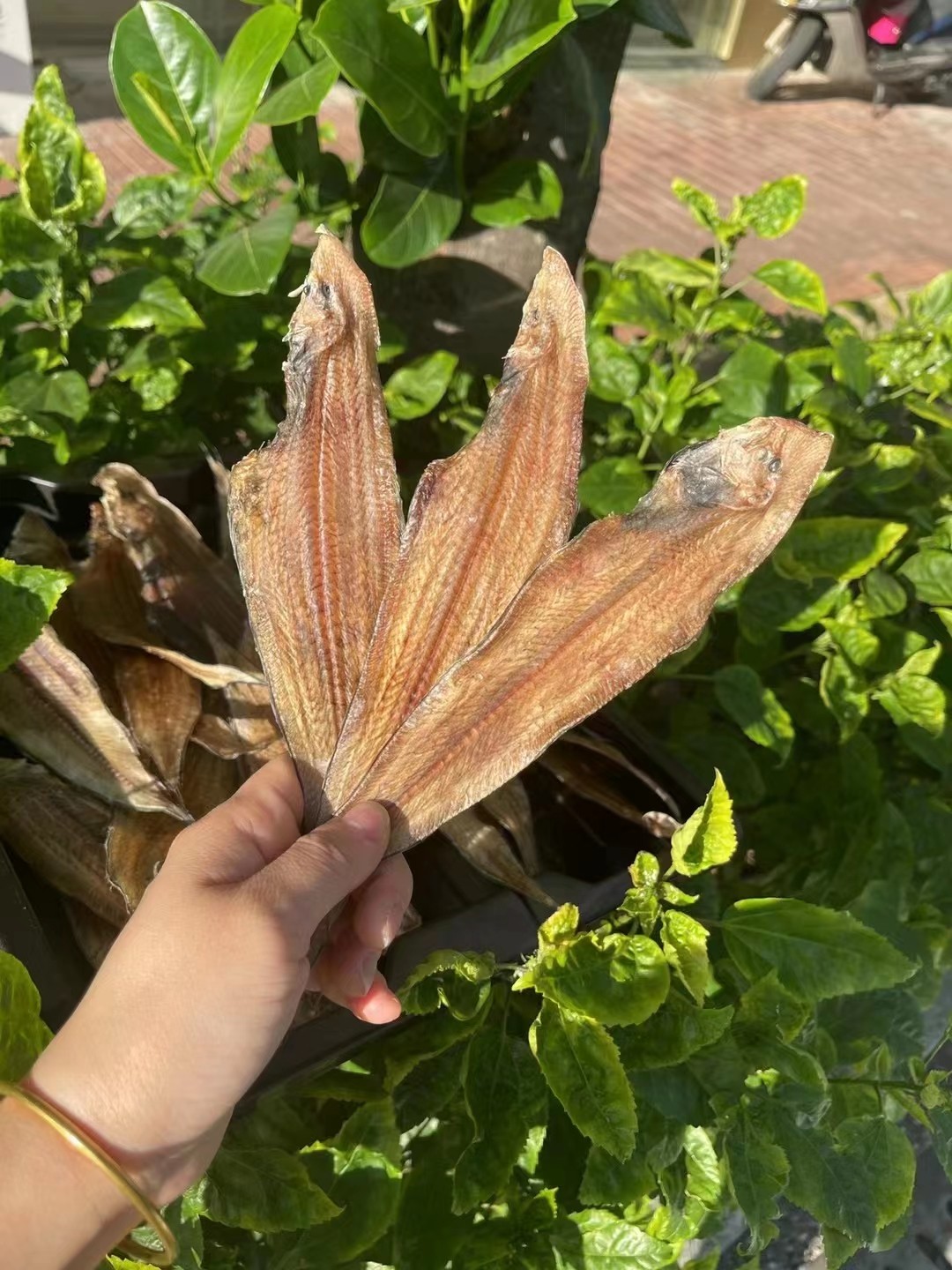 牛舌鱼子板鱼鳎目鳎米龙利鱼干龙力鱼干小黄鱼深海舌头比目鱼250g