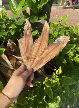 牛舌鱼子板鱼鳎目鳎米龙利鱼干龙力鱼干小黄鱼深海舌头比目鱼250g