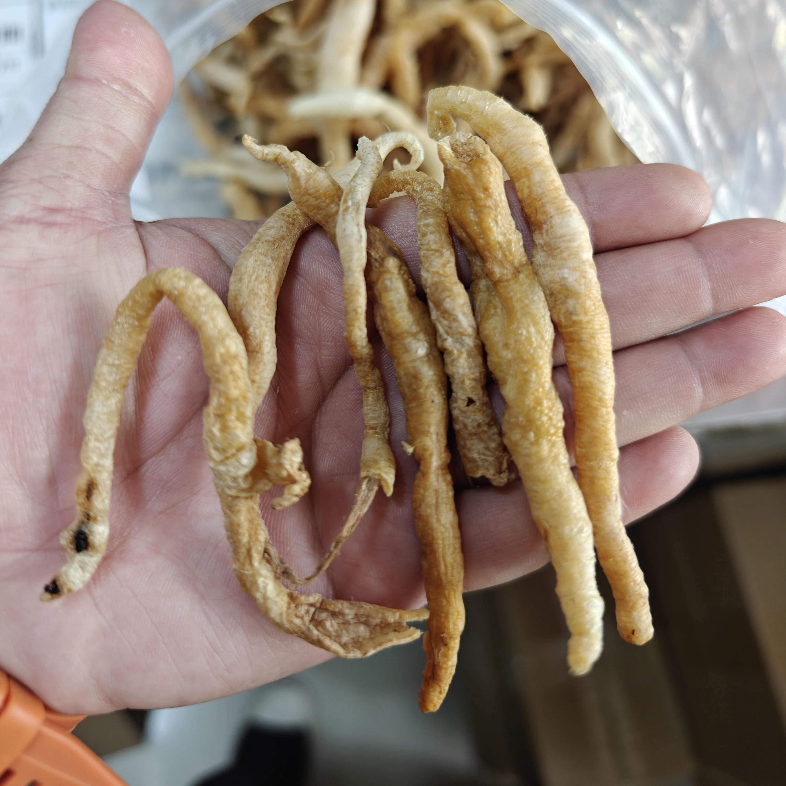 阳江小号正宗盐爆小鳝鱼胶鳗鱼鳝肚花胶鱼肚正宗深海渔民货足干胶