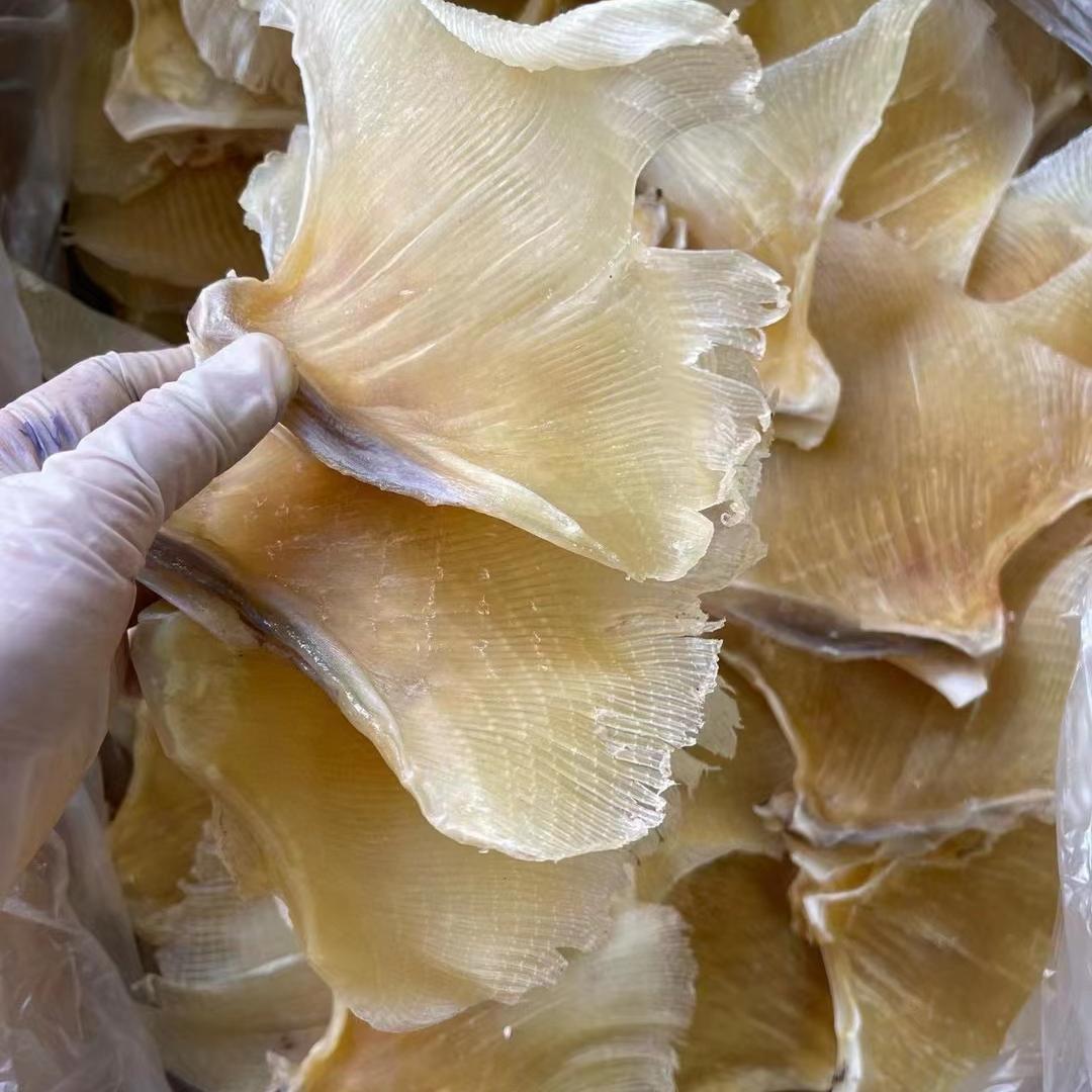 北海深海海狗翅鱼翅大号浦鱼翅煲汤料鱼翅天星翅肉翅天然送礼纯正