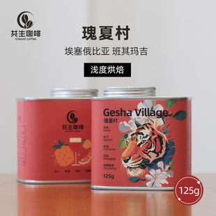 共生咖啡 埃塞俄比亚 瑰夏村 班其玛吉