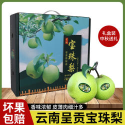 云南呈贡正宗宝珠梨现摘新鲜蜂糖脆甜香多汁新鲜水果大果礼盒装10