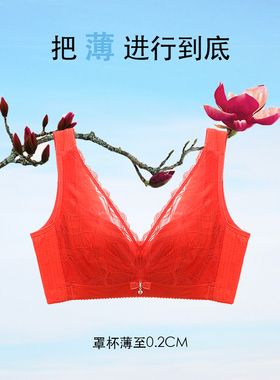 Rephresh/瑞法斯超薄大胸显小全罩杯文胸收副乳软钢圈内衣5859