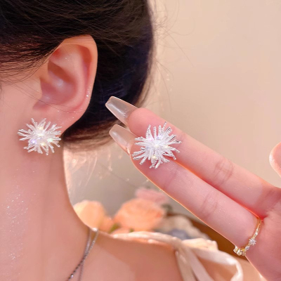 烟花锆石耳钉女小众高级感大气