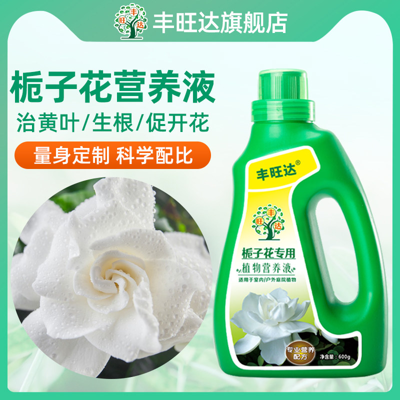 栀子花肥料专用肥浓缩营养液土培水培通用家用盆栽开花复合肥花肥 - 实物图