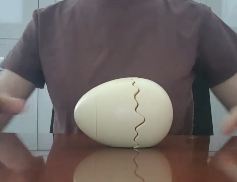 儿童恐龙水豚发条小鸭玩具走路仿真动物蹦蛋趣味玩具