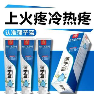 牙疼用它快】蒲艼蓝牙疼牙痛牙龈肿包烂牙根疼上火冷热牙痛R