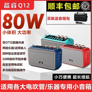 蓝音Q12电吹管专用小音响萨克斯吉他乐器专业音箱户外便携迷你木