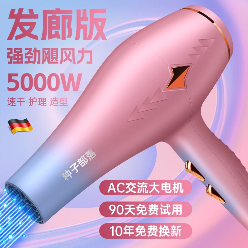 德国电吹风机家用大功率发廊专用筒w理发店5000大风力护发速干风