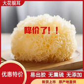 古田特产银耳干货白木耳无硫熏白木耳雪耳非丑耳银耳百合莲子羹