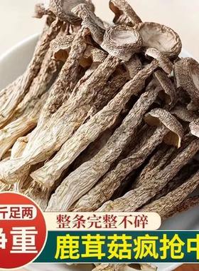 鹿茸菇干货500g鹿茸菌新鲜脆脆菇蘑姑干香菇云南菌子煲汤食材250g