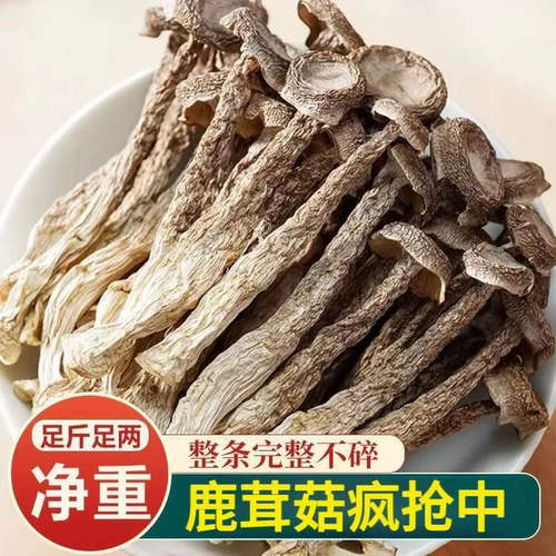 鹿茸菇干货500g鹿茸菌新鲜脆脆菇蘑姑干香菇云南菌子煲汤食材250g