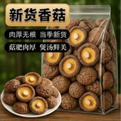 新货农家香菇干货500g肉厚无根干香菇菌菇新货毛重非净重特产250g