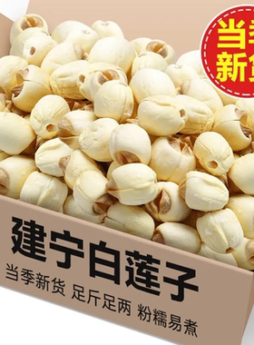 净重新货福建建宁农家自产去芯莲子干货软糯无硫熏袋装白莲批发价