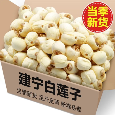 净重新货福建建宁农家自产去芯莲子干货软糯无硫熏袋装白莲批发价