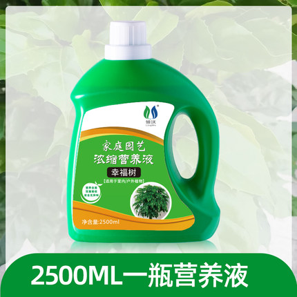 绿萝栽培%通用型铜钱防治植物草培君子兰插花营养液通用土培生根