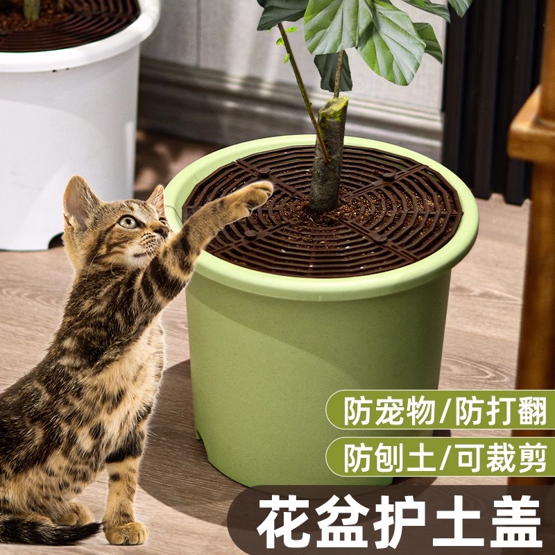 花盆防猫抓保护罩防猫网护土盖