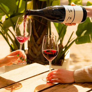 9折 Niepoort CWS 干红葡萄酒 1L装 尼伯特酷饮