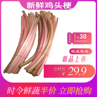 鸡头梗新鲜蔬菜湖北荷辉厂地直销