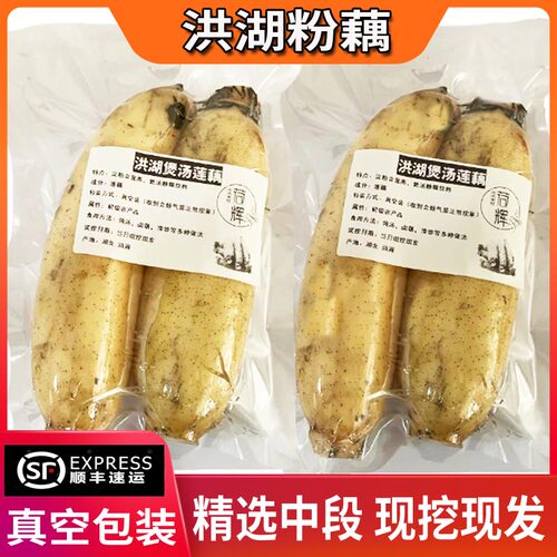 精选中段洪湖莲藕煲汤粉糯现挖