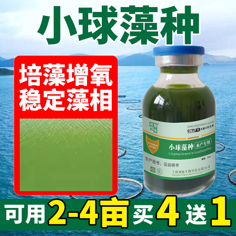 小球藻藻种浓缩藻种复合藻种肥水培藻增氧水产养殖小球藻卵囊藻种