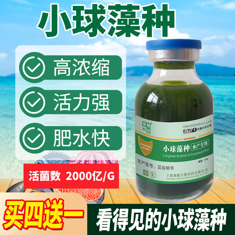 小球藻藻种浓缩藻种复合藻种肥水培藻增氧水产养殖小球藻卵囊藻种