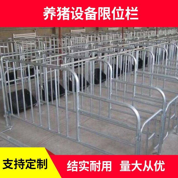 厂家定制加厚猪用定位栏带复合漏粪板猪用限位栏养猪设备