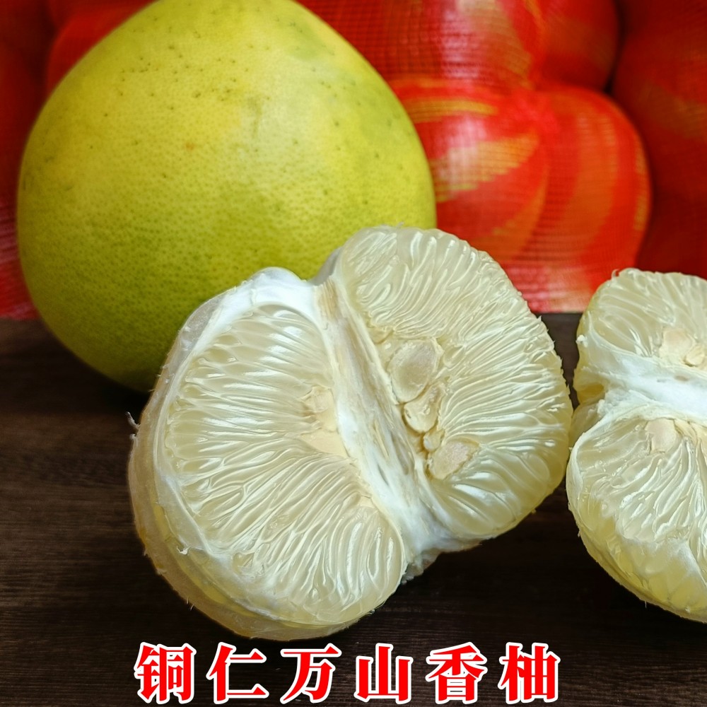 贵州铜仁万山香柚时令水果麻麻柚雪峰小苦柚孕妇水果老树白心柚子