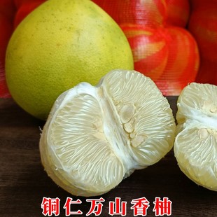 贵州铜仁万山香柚时令水果麻麻柚雪峰小苦柚孕妇水果老树白心柚子