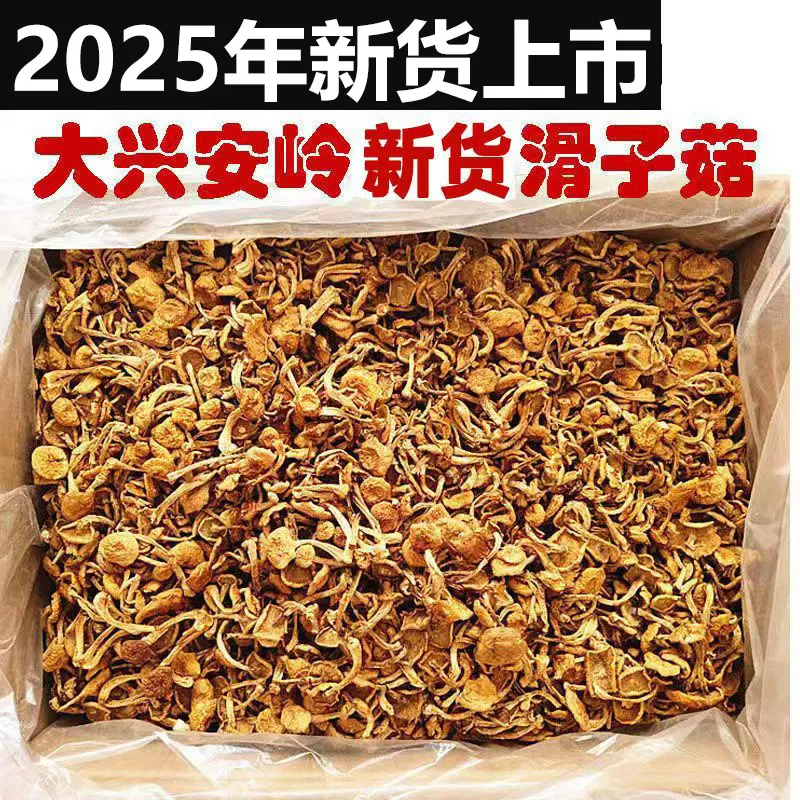 丞悦东北特产滑子菇煲汤