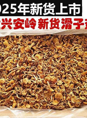 丞悦东北特产滑子菇煲汤